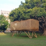 質數變異的獨白 圖片 2