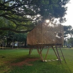 質數變異的獨白 圖片 6