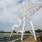 粼粼波光、翩翩白影 圖片 3