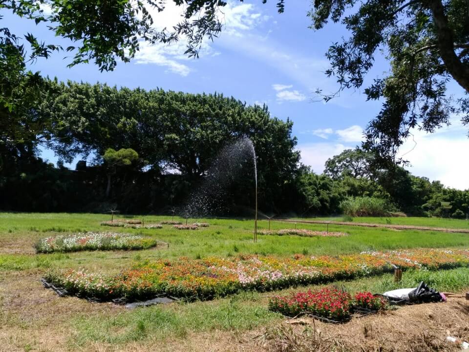淨花園 圖片 3