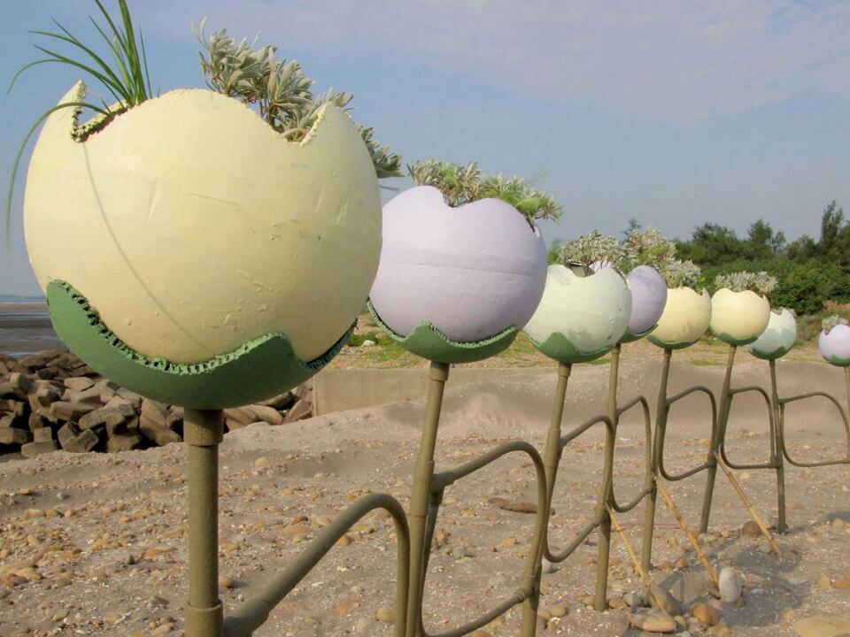福求花