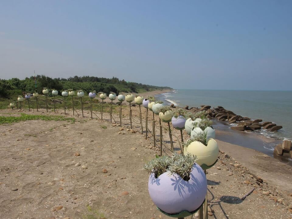 福求花 圖片 4
