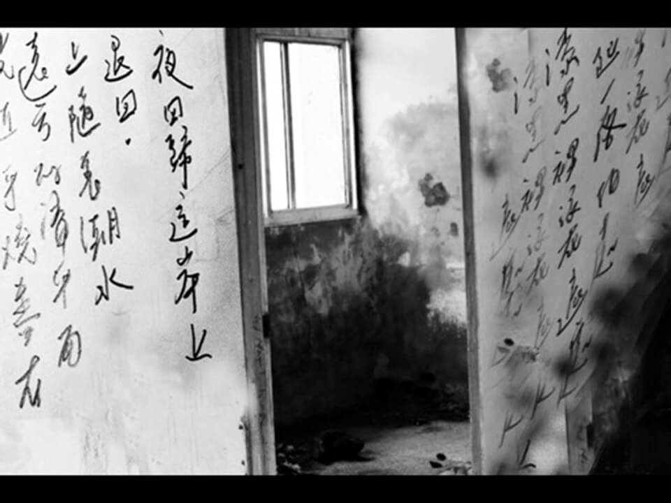 這裡有人住過，草後面是海的那邊 圖片 3