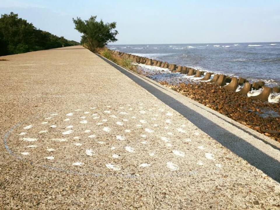 招潮 圖片 2