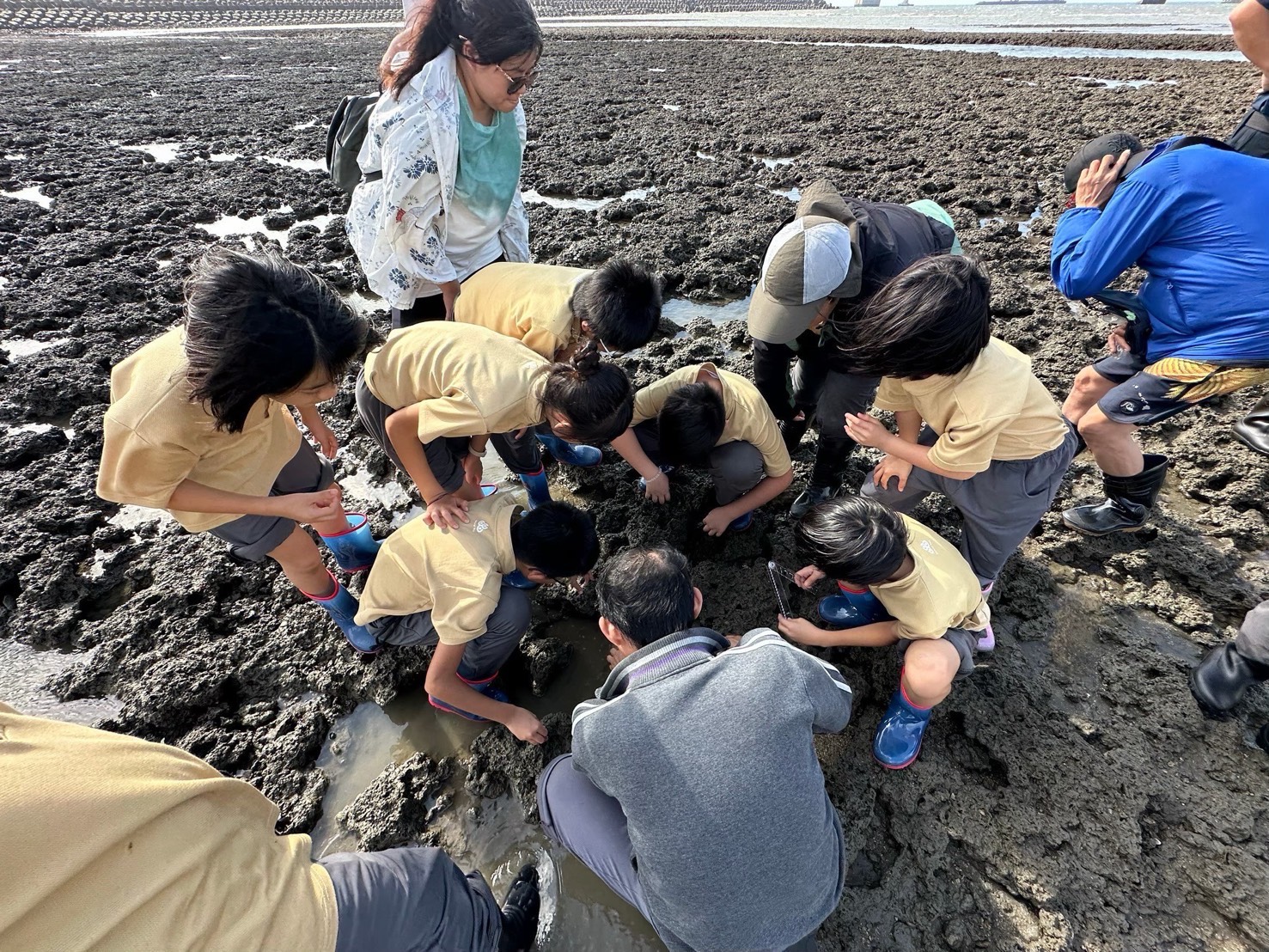 【地景走讀】你上一次蹲下來 看海岸看超過五分鐘 是什麼時候?