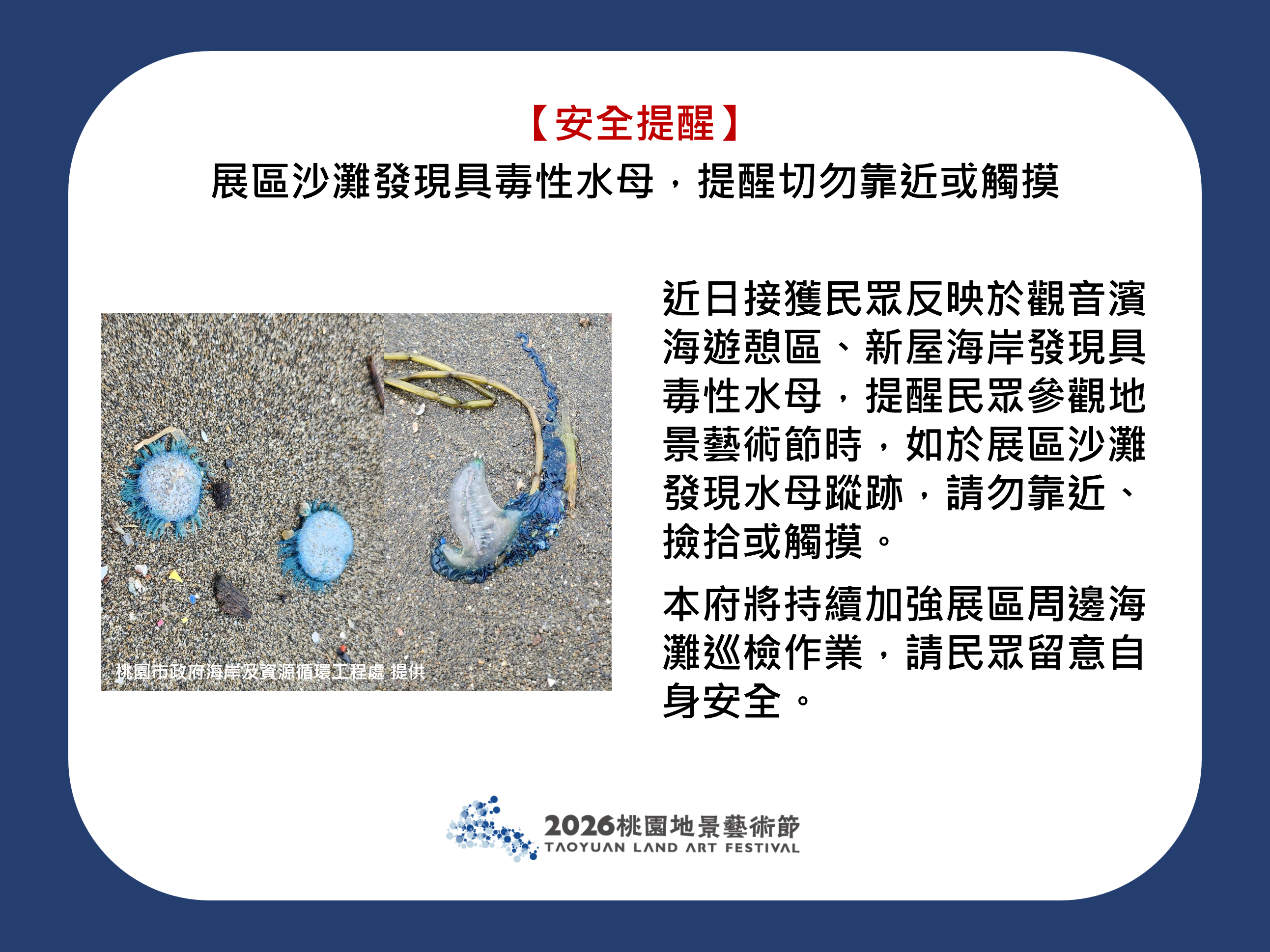 【安全提醒】展區沙灘發現具毒性水母，提醒切勿靠近或觸摸