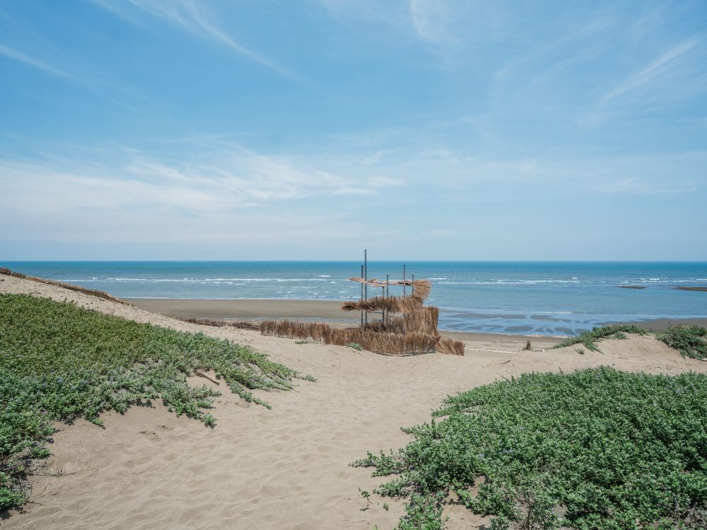 Coastal Memory Line