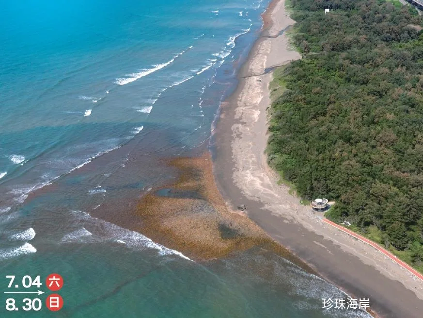 【TO'GO】2026桃園地景藝術節｜海，不只是風景，而是一場沿著桃園珍珠海岸展開的地景旅行