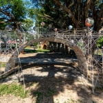 新舊連線進行式 －桃園龜崙嶺場 圖片 4
