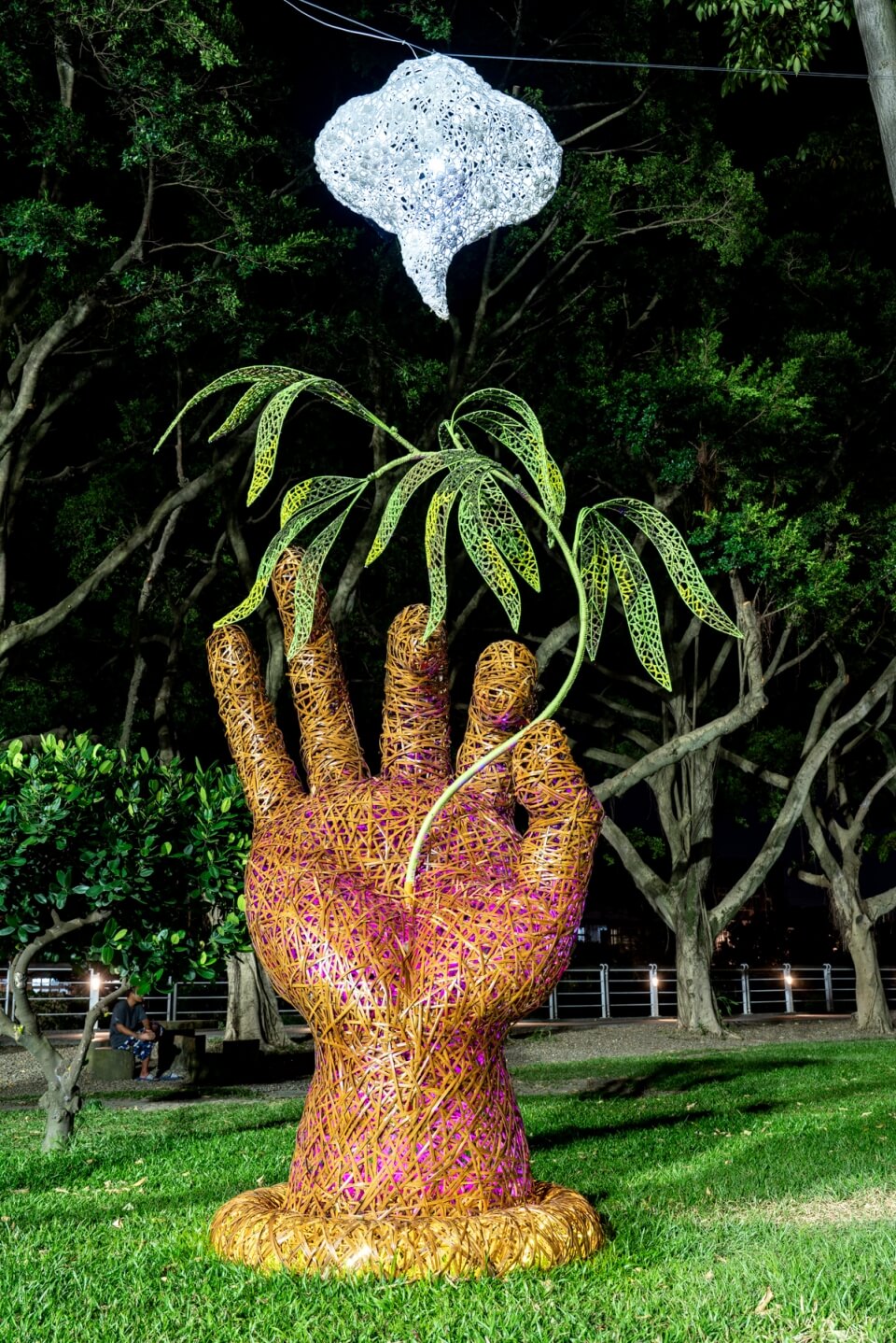 楊柳悅意