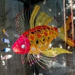 遇見魚 圖片 5