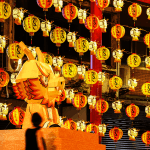 神農龍影 圖片 2