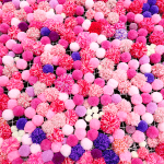 轉轉桃花 圖片 3