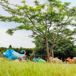 事事如意、豬事圓滿 圖片 5
