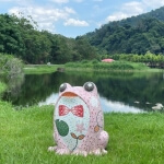 福蛙 圖片 2