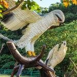 合時 圖片 4