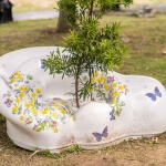 聽見自然 圖片 5