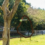 看見桃園 圖片 4