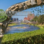 看見桃園 圖片 20
