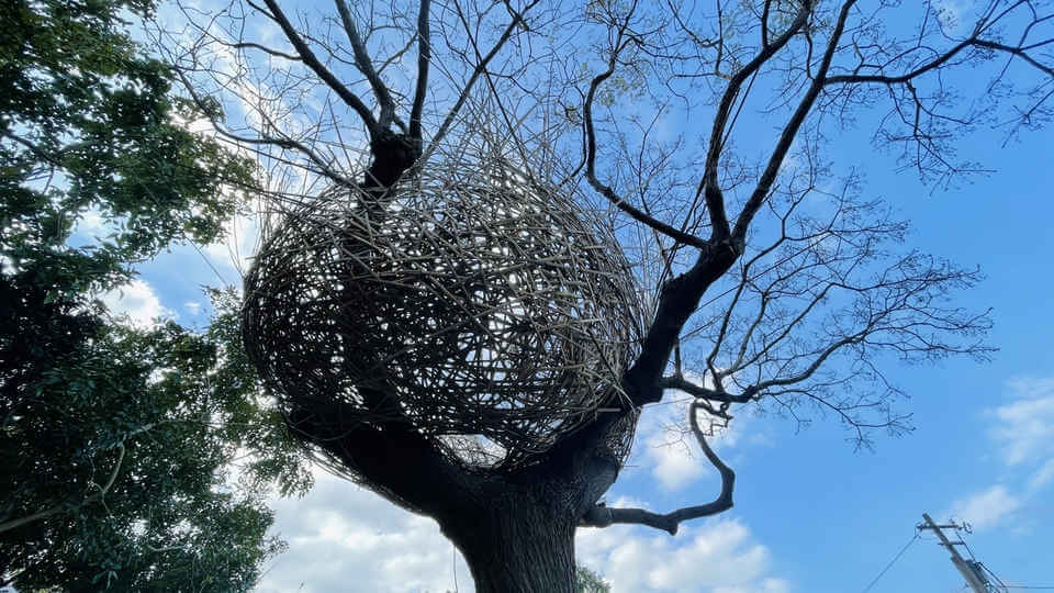 築一個巢