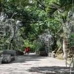 沉積層：椰林大道 圖片 2